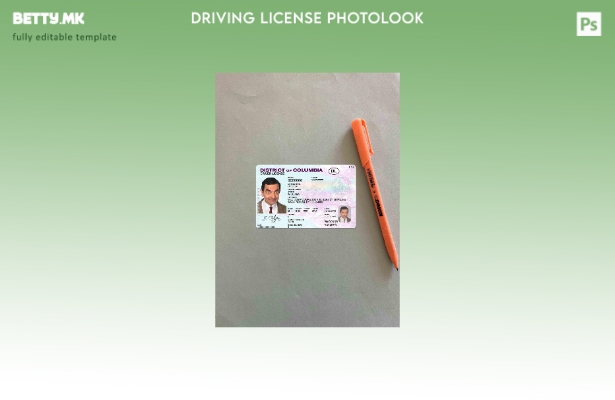 модерен стил USA District of Columbia DL photolook FRONT шаблон